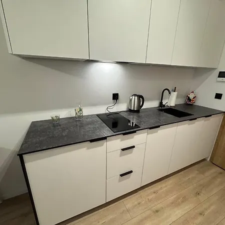 Lofty Nad Warta Apartment Posen