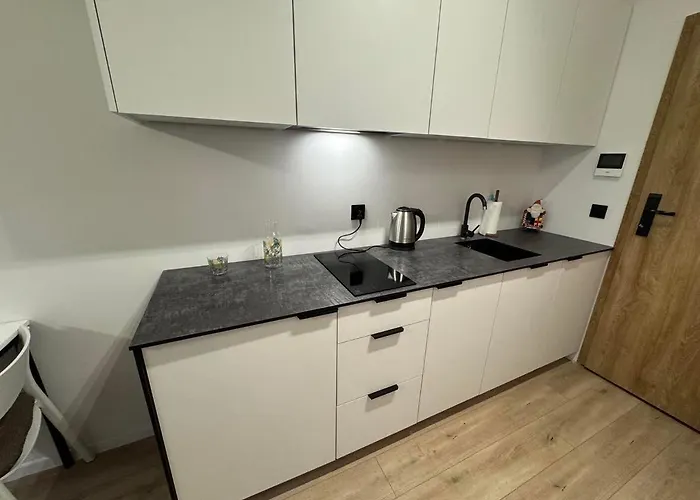 Lofty Nad Warta דירה פוזנן